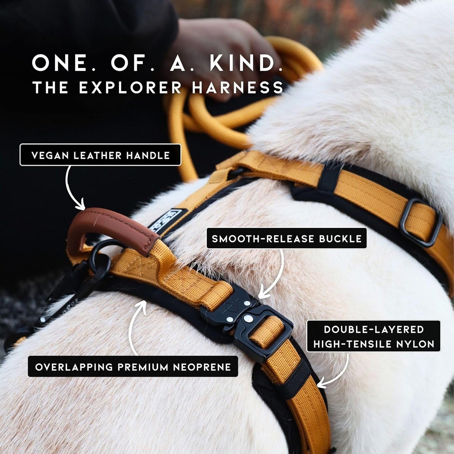 MADE TO ROAM Premium Explorer Harness - Y-Shaped Dog Harness with Adjustable Durable Nylon, Soft Padding, Metal Buckles and Leather Handle for Small, Medium, Large Dogs (Maine Marina, Size 6)
