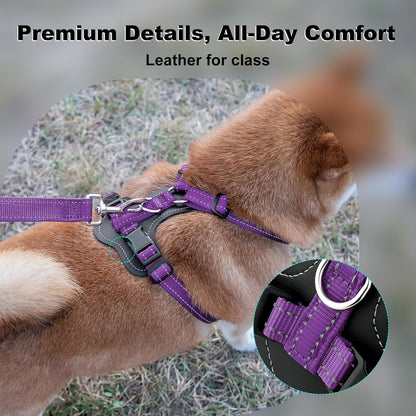 Plutus Pet Adjustable No Pull Dog Harness with Leather Accents, Heavy Duty Reflective Nylon Vest for Training, Hiking, Easy Walk Harness for Small, Medium, Large Dogs (Purple, L)