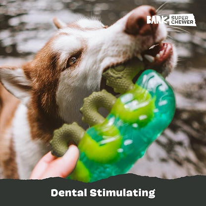 Barkbox Dogness Monster Super Chewer Dog Chew Toy - Tough Dental Stimulating Toy for Aggressive Chewers | Large