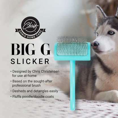 Chris Christensen Big G Dog Slicker Brush for Dogs (Goldendoodles, Labradoodles, Poodles), Groom Like a Professional, Fluff Detangle Style, Saves Time Energy, Teal, Medium