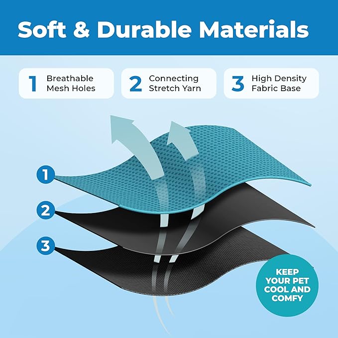 Voyager Escape Proof Cat Harness and Leash Set with Reflective Stitching, Neoprene Handle 5ft - Supports Small, Medium and Large Cats, Kittens for Walking by Best Pet Supplies - BT-Turquoise, XXXS