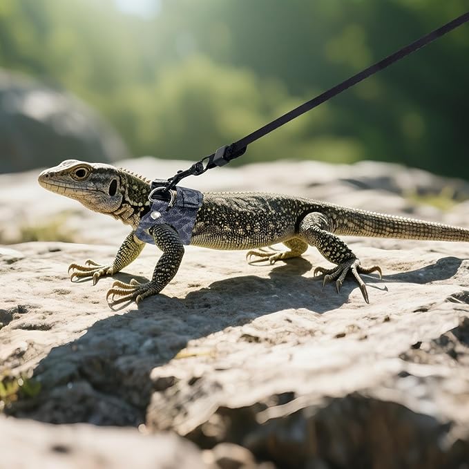 AIITLE 3 Pack Adjustable Bearded Dragon Harness and Leash Set - Leopard Print, Comfort Soft Leather Vest for Lizards, Iguanas, Guinea Pigs, Outdoor Camping & Walking, Blue
