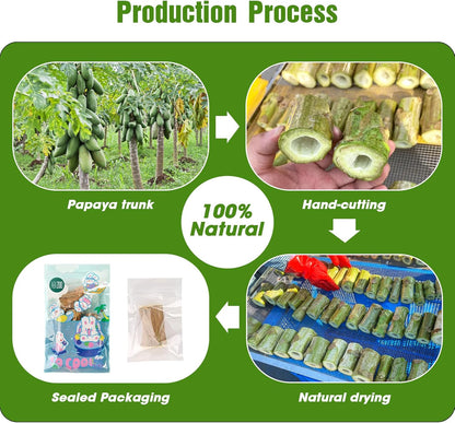 Abizoo Rabbit chew Toys for Bunnies,4 Pcs Natural Papaya Wood Chew Sticks Bunny Chews for Teeth Chinchilla Guinea Pig Hamster Gerbil Degu Small Animals to Keep Busy Molar Treats Toys