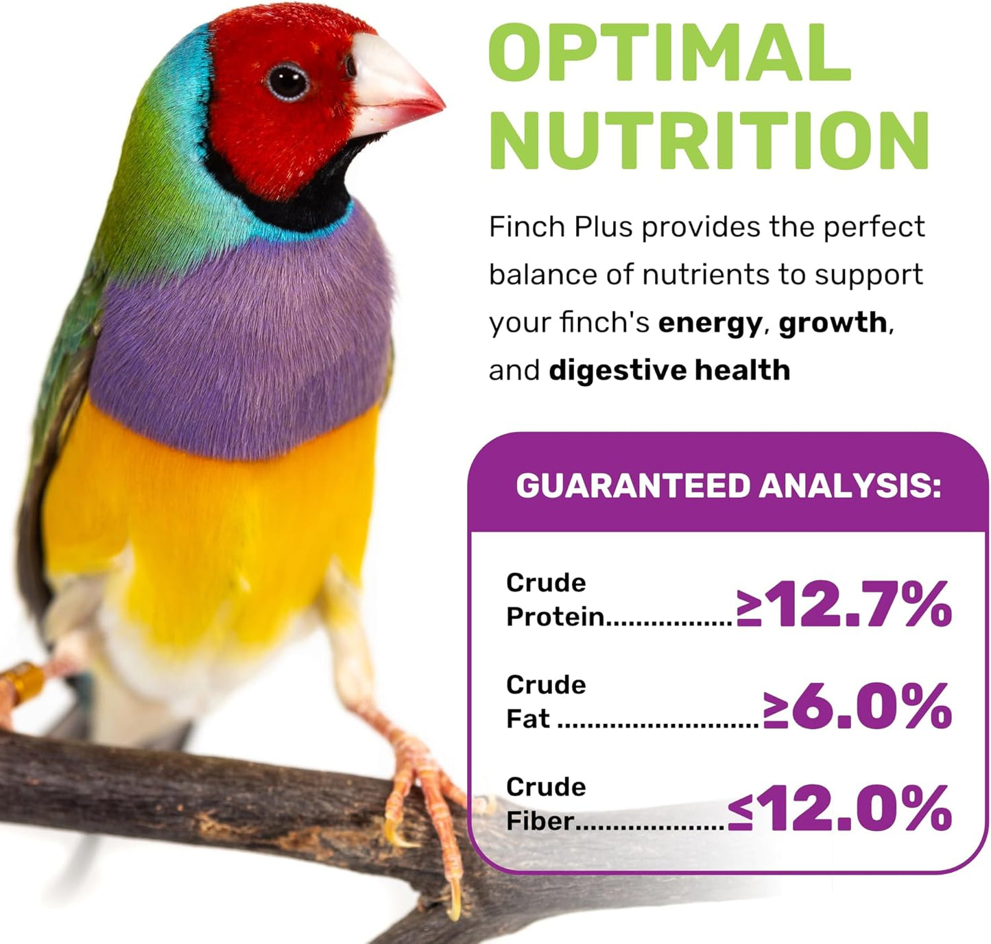 JEDDS Fine Avian & Pet Products Finch Plus 5 Lbs, Nut Free, No Waste Bird Seed Mix, Birdseed for Finches and Small Birds, Premium Finch Food, Bird Food, Bird Feed for Energy, Growth and Digestion