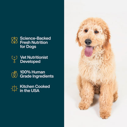 JustFoodForDogs JustFresh Wet Dog Food, Fresh Pet Meals and Toppers with No Preservatives, Resealable Package, Human Grade, Home-Cooked Pork, 12 oz - 7 Pack