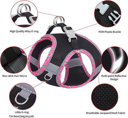 AIITLE XXS Dog Harness & Leash Set - Breathable Reflective No-Choke Small Dog Harness for Teacup Puppies, Indoor/Outdoor Use - Boston Terrier, Maltese, Chihuahua(Black, XXS)