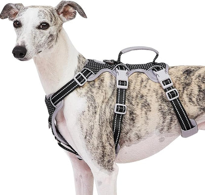 Huntboo Escape Proof Dog Harness, No Pull Reflective Harness with Lift Handle, Adjustable Pet Vest with Front and Back Leash Clips for Small Medium Large Dogs Walking Hiking Training (Black,XL)