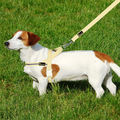 Plutus Pet Cotton Dog Harness and Leash Set, Reflective and Soft Padded, Quick Fit Vest Harness, for Small, Medium and Large Dogs, Light Yellow, M