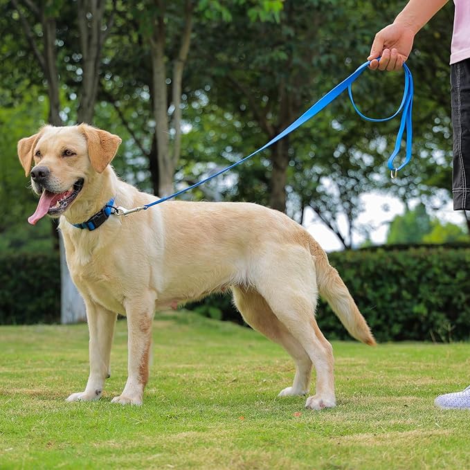 Waterproof Dog Leash, 5/6 FT Durable Odor-Proof Dog Leashes with Strong Metal Hooks Fits Small Medium or Large Dogs (Blue, 6FT - 1 inch Width)