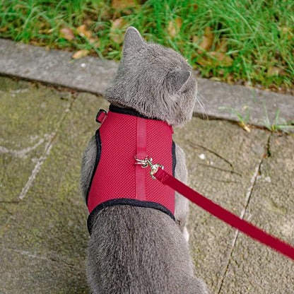 PUPTECK Soft Mesh Cat Vest Harness and Leash Set Puppy Padded Pet Harnesses Escape Proof for Cats Small Dogs, Red Large