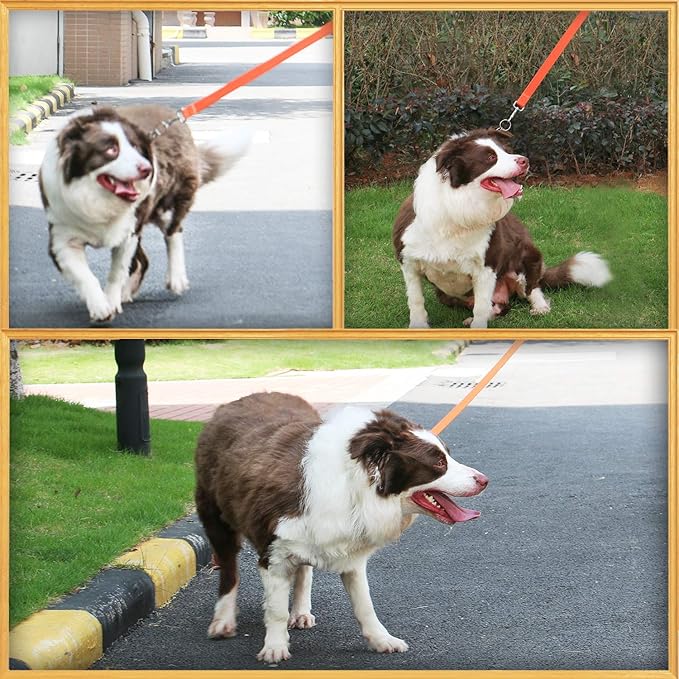 AMAGOOD 6 FT Puppy/Dog Leash, Traditional Style Leash with Easy to Use Collar Hook, Great for Small, Medium and Large Dogs (3/4 in x 6 ft, Orange)