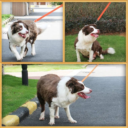 AMAGOOD 6 FT Puppy/Dog Leash, Traditional Style Leash with Easy to Use Collar Hook, Great for Small, Medium and Large Dogs (3/4 in x 6 ft, Orange)