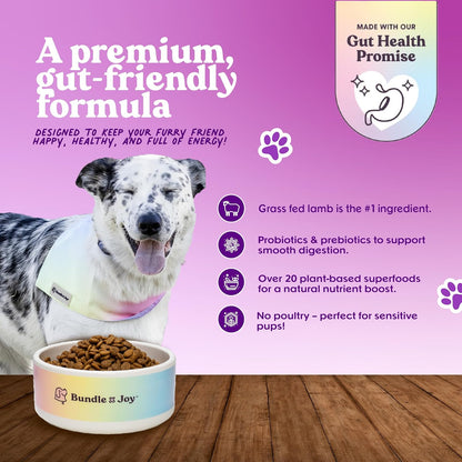 Bundle x Joy Brave Probiotic Dog Food Dry, Lamb, 4lb Bag, Allergy and Gut-Friendly Adult Kibble for Digestive Health with Grass-Fed Lamb, 20 Plant Based Superfoods, Poultry and Grain Free