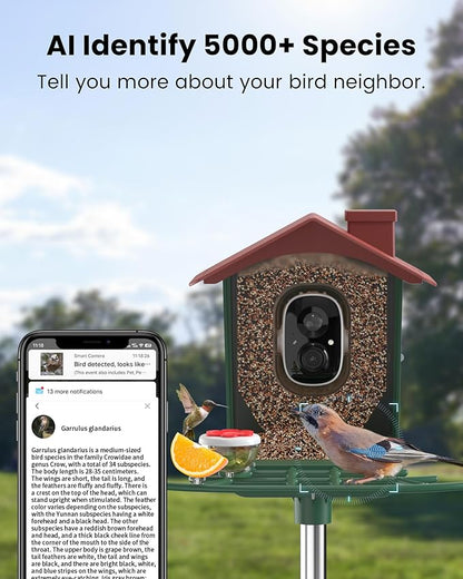 Bird Feeder with Camera Outdoor Solar: Smart Birdfeeder Cam for Outside Garden - 2K HD Live Video Camera AI Recognition Visible Window Auto Capture - Bird Lover Gifts