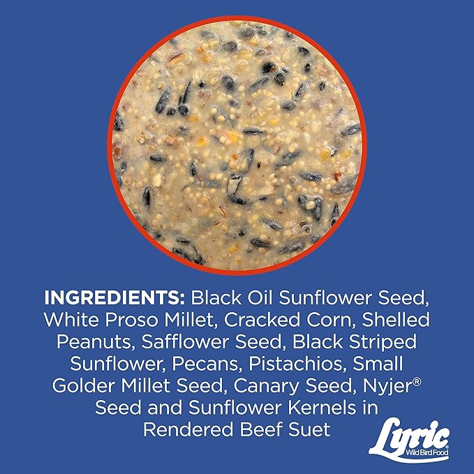 Lyric Supreme Wild Bird Seed Suet Cakes for Wild Birds, 12 oz. (12 Pack)