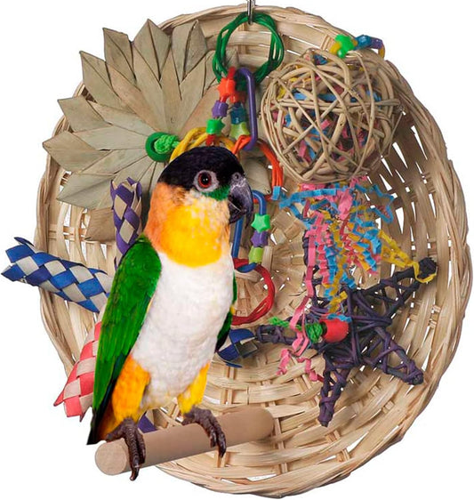Super Bird Creations SB543 Busy Birdie Play Perch - Foraging Bird Toy, Small & Medium Bird Size - Parakeets, Cockatiels, Small Conures - Interactive Elements - Stimulating Playtime - 9.5" x 9.5" x 6"