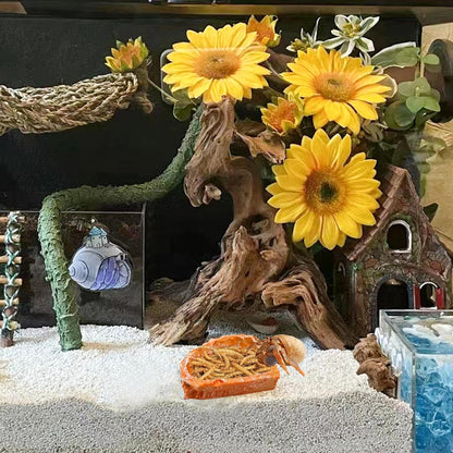 3 Pack Resin Reptile Dish for Food and Water, Hermit Crab Accessories, Hermit Crab Supplies, Hermit Crab Water Bowl, Habitat Accessories for Hermit Crab, Bearded Dragon, Gecko, Tortoise