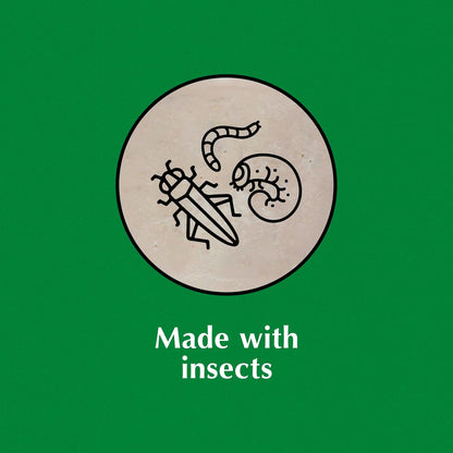 C&S Insect Suet Treat, Suet Cakes for Wild Birds, 11.75 Ounces, Pack of 8