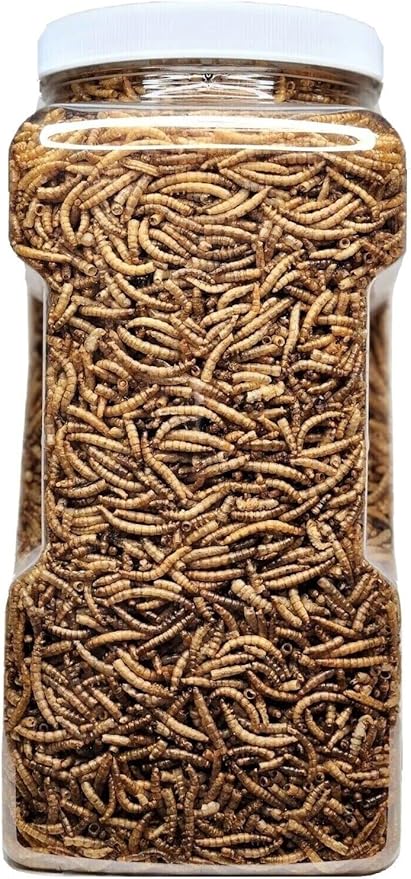 Aquatic Foods Inc. Mealworms- Freeze Dried Mealworms for Tropical Fish, Pond Fish, Reptiles, Turtles, Tortoises, Frogs, Hamsters, Birds, Rodents…10oz Med Jar