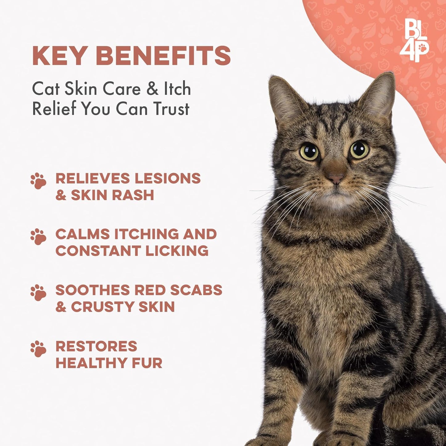 Mange Support for Cats, Natural Cat Itchy Skin, Paws and Ears Relief - Soothes Welts, Scabs, Red and Flaky Skin Reducing Excessive Grooming and Patchy Fur for a Healthy Coat (400 Tiny Tasteless Pills)