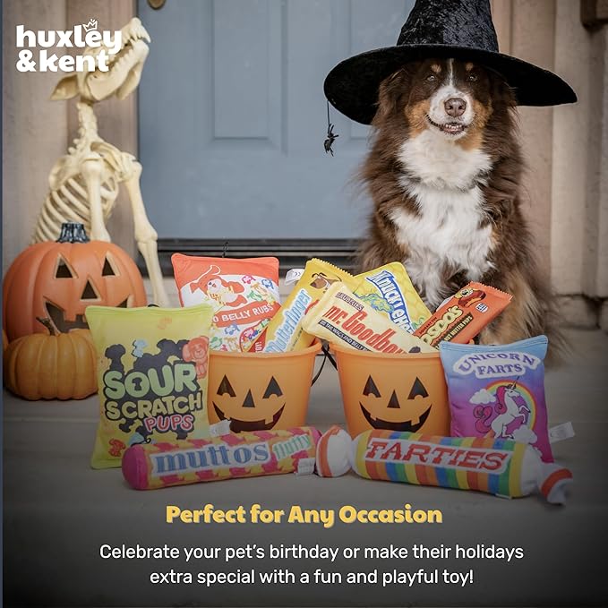 Huxley & Kent Funny Dog Toy w/Squeaker – Power Plush Squeaky Dog Toys for Small, Medium & Large Dogs – Soft Stuffed Animal for Indoor Play & Fetch - Farties, Large