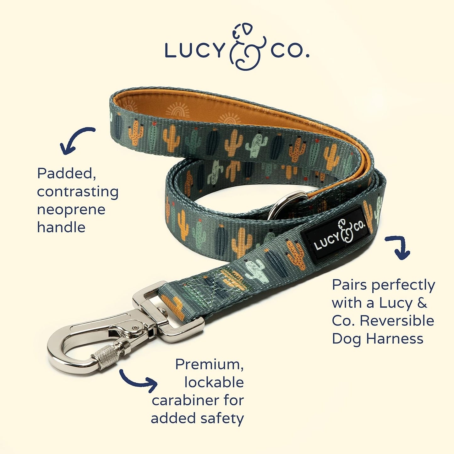 Lucy & Co. 5 Foot Designer Dog Leash – Puppy Leash – Pet Accessories & Supplies (Looking Sharp, Small)