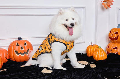 Aiboria Dog Jackets Windproof Outfit Coat Dog Vest Harness Puppy Warm Jacket Halloween Orange XL