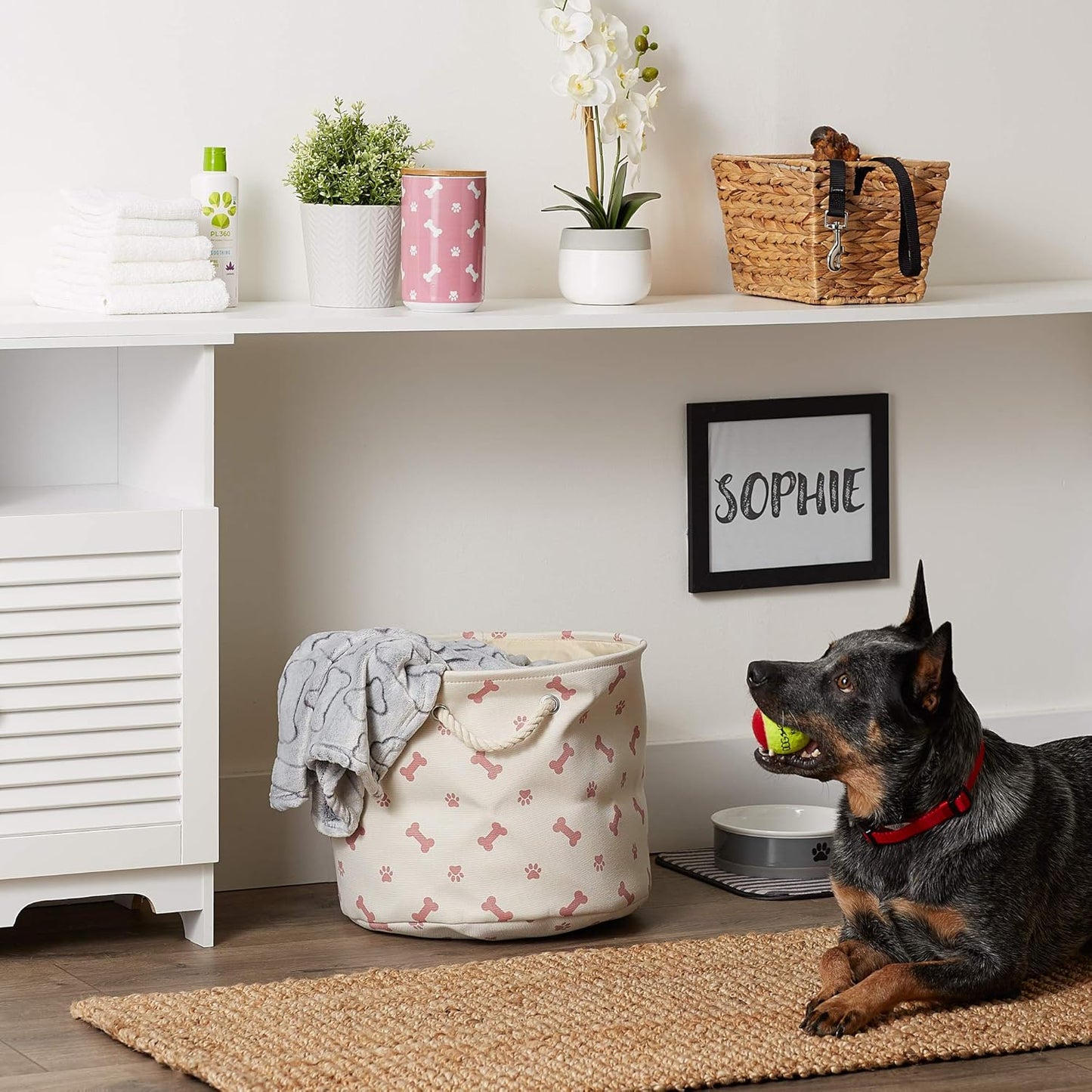 Bone Dry Pet Storage Collection Paw and Bone Print, Medium Round, 12x15x15, Rose