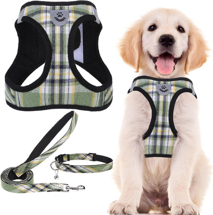 PUPTECK Adjustable Dog Harness Collar and Leash Set Step in No Pull Pet Harness for Small Medium Dogs Puppy and Cats Outdoor Walking Running, Soft Mesh Padded Reflective Vest Harnesses, Grn&YLW, XS