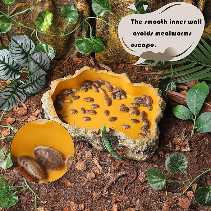 IBWell 7 Inch Reptile Food Dish Escape Proof Reptile Feeding Dish Resin Reptile Water Food Bowl for Bearded Dragon Chameleon Frog Snake Turtle Leopard Gecko