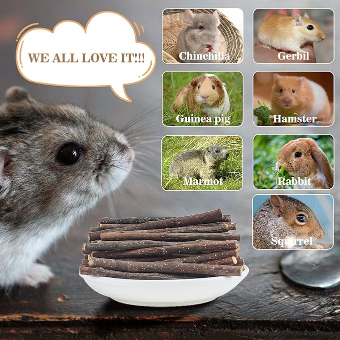 Sukh Natural Organic Apple Sticks - 250g Hamster Chew Stick Hams Rabbit Bunny Gerbil Guinea Pig Squirrel Chinchilla Small Animal Chew Sticks