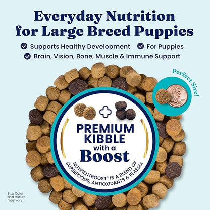 Solid Gold Large Breed Puppy Dog Food Dry Kibble - High Protein Dry Puppy Food for Large Breed Dogs w/Real Bison, Healthy Whole Grain & Probiotics for Gut Health & Digestion - Nutrientboost - 22 LB