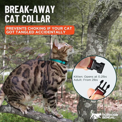 OutdoorBengal Durable Cat Collar Breakaway with Soft Padding for Medium to Large Cats - Thin Heavy Duty Tactical Fabric, Comfortable, Quick Release Breakaway Cat Collars, No Bell Collar (Pink, Adult)