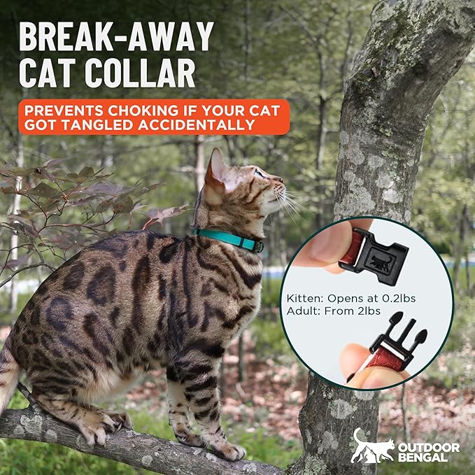 OutdoorBengal Durable Cat Collar Breakaway with Soft Padding for medium to large cats - Thin Heavy Duty Tactical Fabric, Comfortable, Quick Release Breakaway Cat Collars, No Bell Collar (Black, Adult)