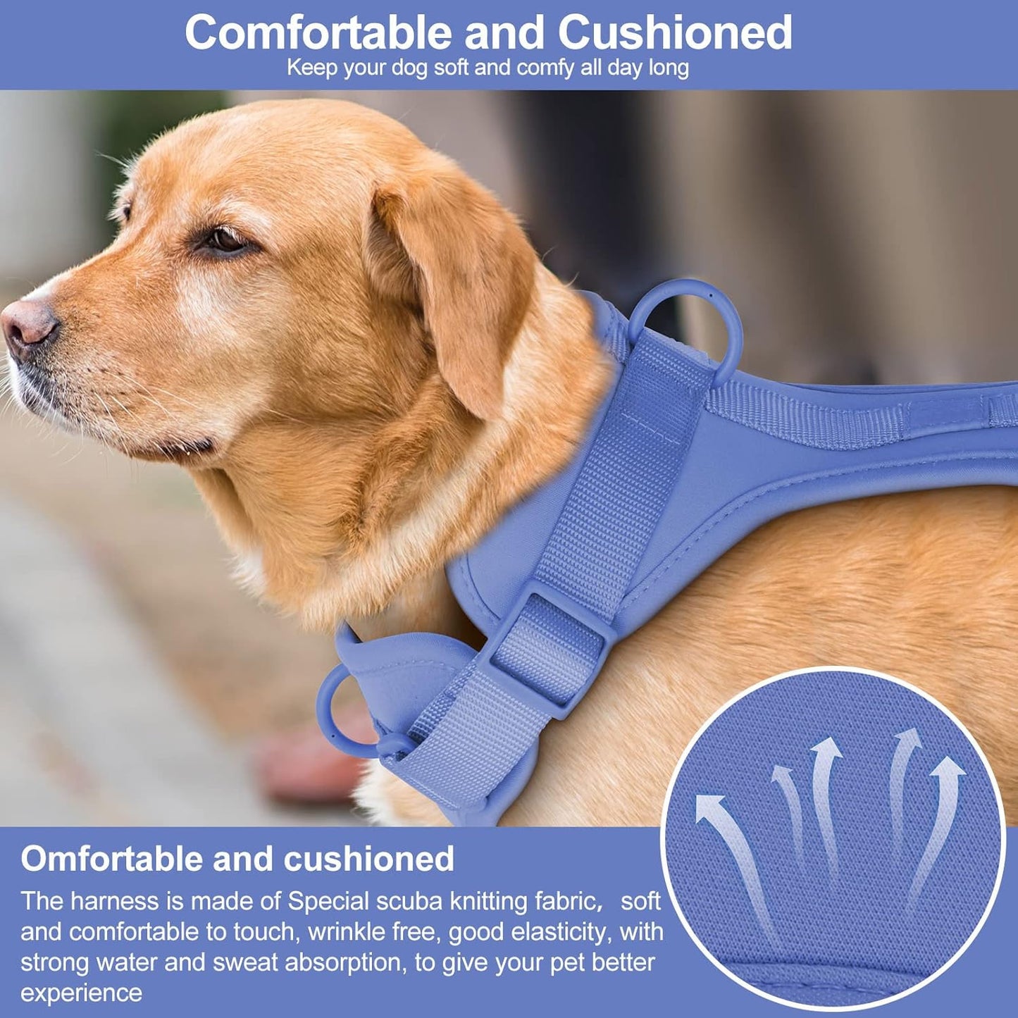 Wisedog No Pull Lightweight Dog Vest Harness with Soft and Comfortable Cushion, Breathable Mesh, for Small Medium Large Dogs Walking (XS(Neck: 7.48"-10.63";Chest: 10.63"-15.35"), Blue)
