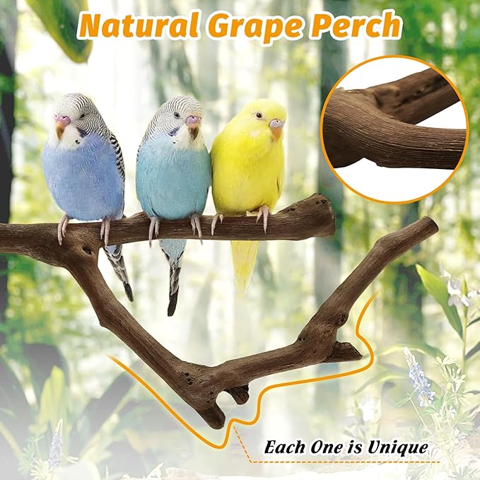kathson 5pcs Natural Parrot Perch for Cage Wooden Bird Perches Grape Bird Stick Parakeet Climbing Standing Branches Toy Chewable Cage Accessories for Small Budgies Cockatiels Lovebirds Budgies