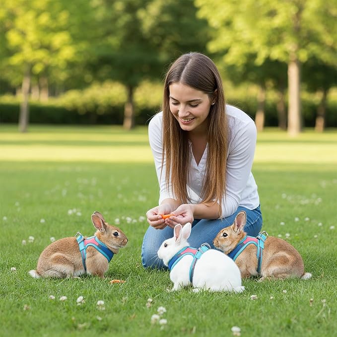 Adjustable Bunny Harness and Leash Set, Double Buckles Breathable Mesh Rabbit Vest with Reflective Strips, Escape Proof Small Pet Walking Training Gear for Rabbits, Kittens, Ferrets, Guinea Pigs (M)