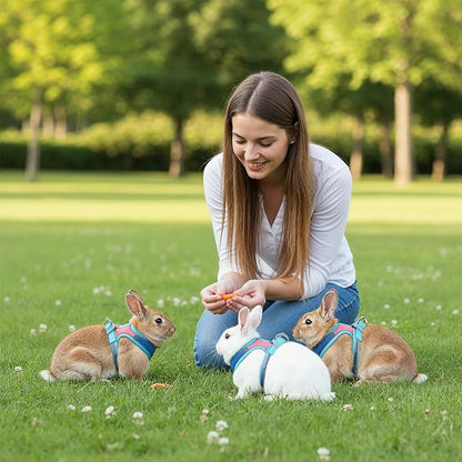 Adjustable Bunny Harness and Leash Set, Double Buckles Breathable Mesh Rabbit Vest with Reflective Strips, Escape Proof Small Pet Walking Training Gear for Rabbits, Kittens, Ferrets, Guinea Pigs (M)