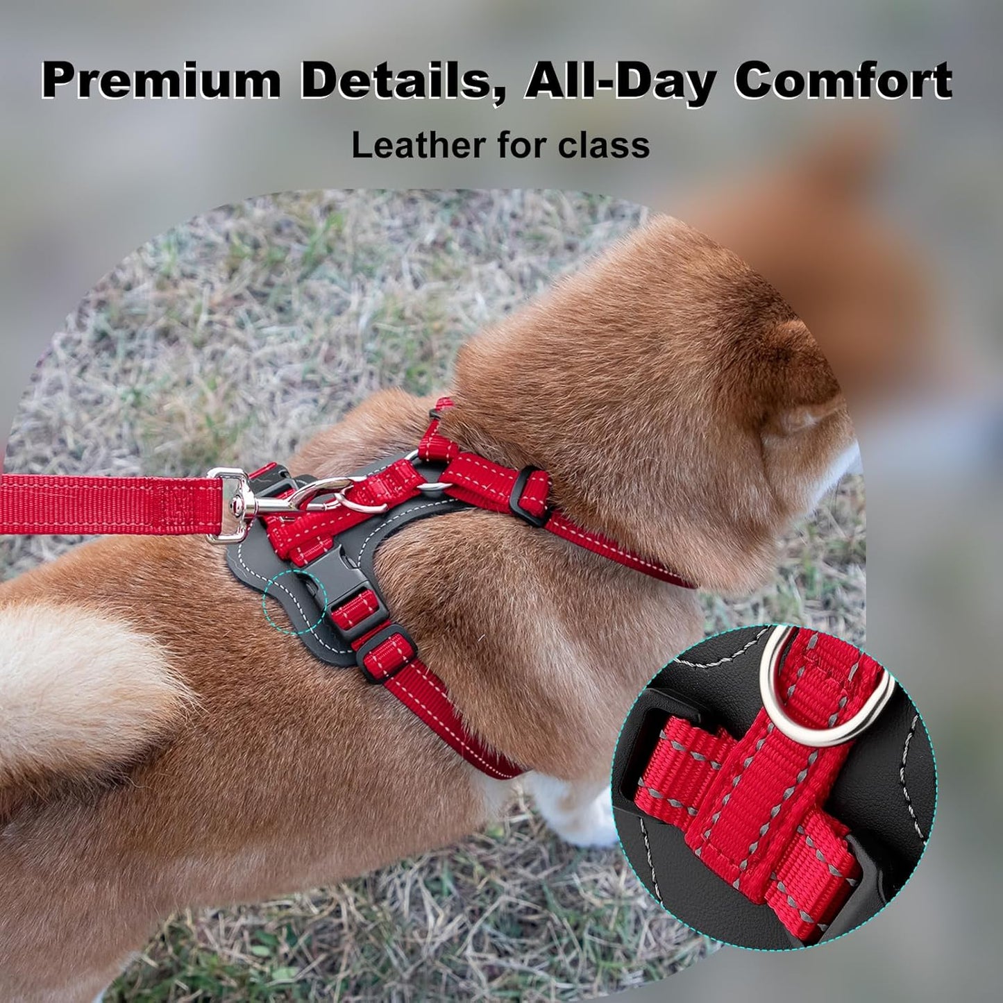 Plutus Pet Adjustable No Pull Dog Harness with Leather Accents, Heavy Duty Reflective Nylon Vest for Training, Hiking, Easy Walk Harness for Small, Medium, Large Dogs (Red, S)