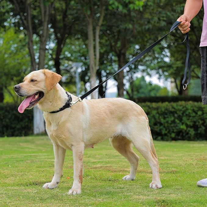 Waterproof Dog Leash, 5/6 FT Durable Odor-Proof Dog Leashes with Strong Metal Hooks Fits Small Medium or Large Dogs (Black, 6FT - 1 inch Width)