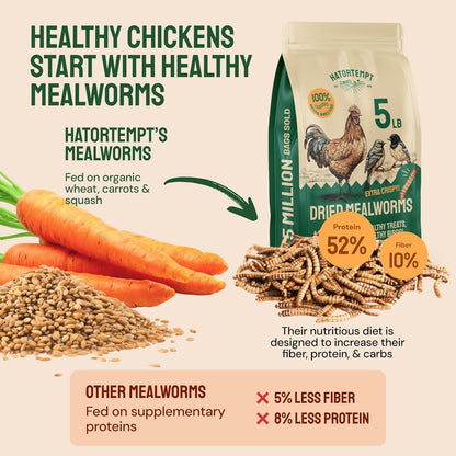 Hatortempt Chicken Feed Dried Mealworms - 5 Lb, Non-GMO & Organic - High-Protein Mealworms for Wild Birds & Ducks, Chicken Treats & Bird Food