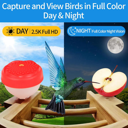 Smart Bird Feeder with Camera Solar Powered, 2.5K HD AI Identify 10000+ Species, Color Night Vision, 1.5L Bamboo Wood Feeder House Outside, Auto Capture & Notify, Ideal Gift for Bird Lovers