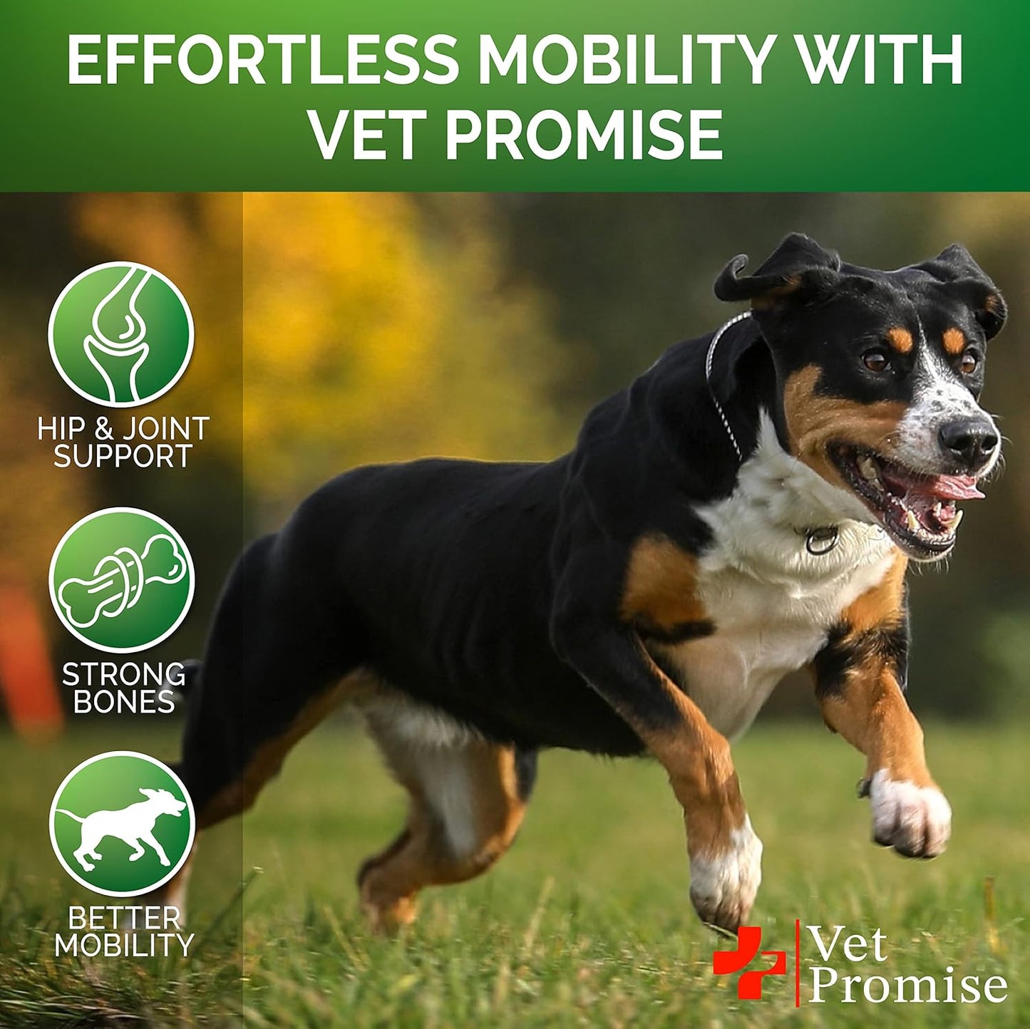 Vet Promise Hemp Hip and Joint Support Supplement for Dogs - Glucosamine for Dogs - Hemp Oil, MSM, Chondroitin - Support for Joint Pain Relief and Health - 120 Soft Chews - Made in USA