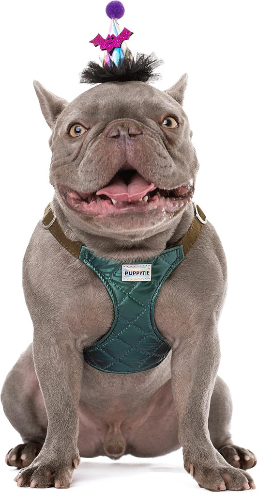 Puppytie No Pull Dog Harness with Multifunction Dog Leash,Soft Adjustable No Choke Escape Proof Pet Harness Vest for Medium Dogs,Glossy Dark Green,M
