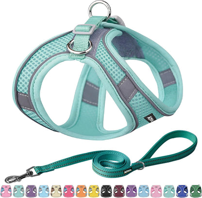 AIITLE Small Harness for Puppy with A Leash - Summer Dog Vest Harness with Super Breathable Mesh, Reflective No-Pull Pet Harness for Outdoor Walking, Camping for Small Dogs, Cats Pure Turquoise XXS