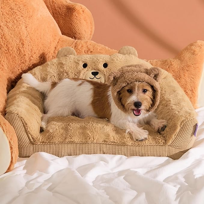 LE SURE Cute Cat Couch for Pets - Fluffy Original Bear Design for Small Dog Bed, Supportive Dog Couch with Removable Washable Cover, Puppy Bed for Small and Medium Dogs, 28inch, Almond