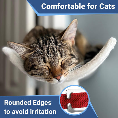 GoTags Cat Collars with Personalized Tag, Breakaway Collar with Safety Buckle Matching Bell, Engraved Custom with Name and Phone, Adjustable for Cats and Kitten, (Black with Nameplate)