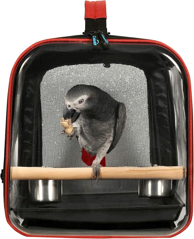 Colorday Lightweight Bird Carrier for Travelers, Bird Travel Cage with Parrot Feeder Cups & Standing Perch and Tracy (Large 19 x 12 x 13 inch, Black)