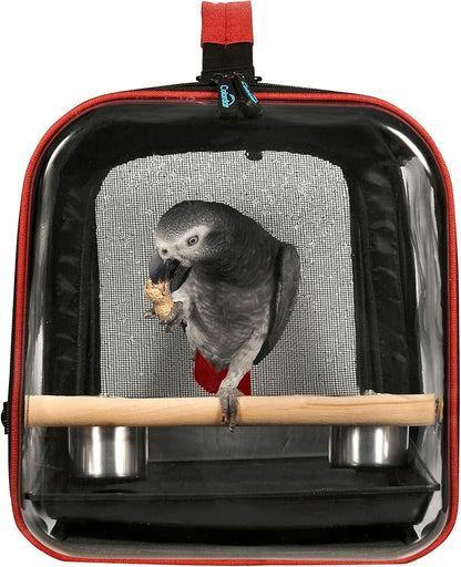 Colorday Lightweight Bird Carrier for Travelers, Bird Travel Cage with Parrot Feeder Cups & Standing Perch and Tracy (Large 19 x 12 x 13 inch, Black)