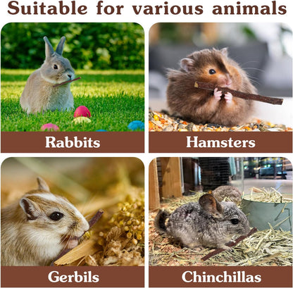 Apple Sticks,Premium Wooden Chew Stick Toys,250g Natural Apple Sticks for Guinea Pigs,Rabbits,Hamsters,Gerbils,Chinchillas and Small Rodents